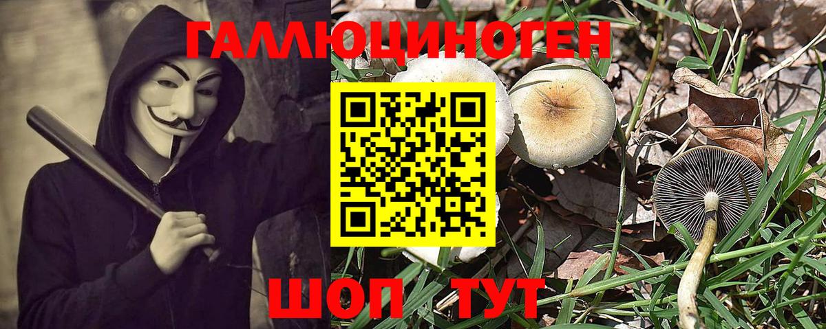 Галлюциногенные грибы Magic Shrooms Ногинск